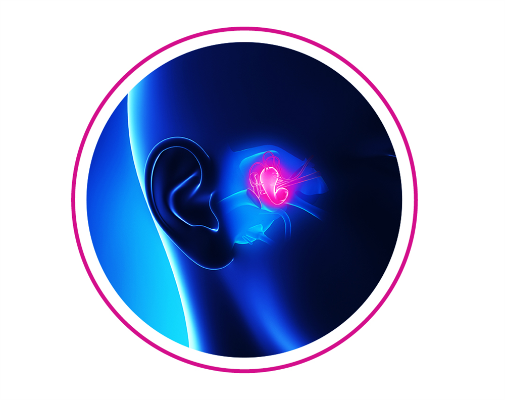 Inner Ear Organoids